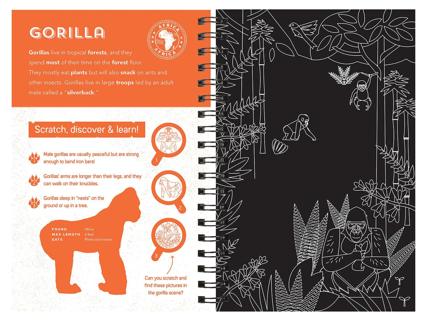 Animals (Scratch, Discover & Learn)