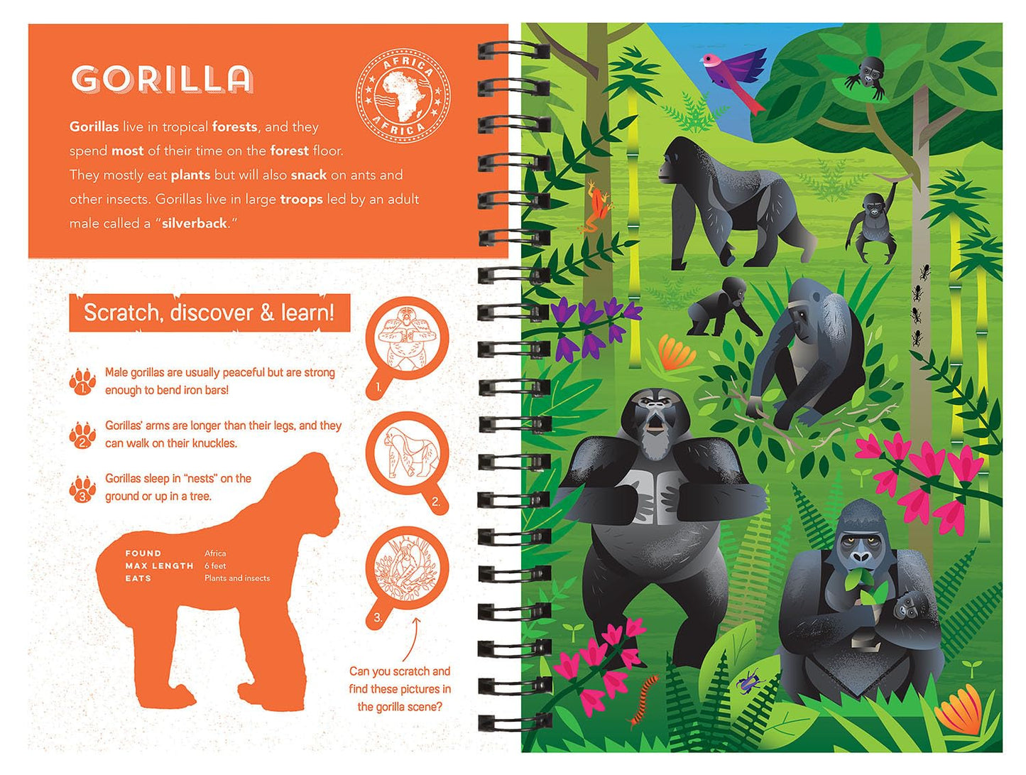 Animals (Scratch, Discover & Learn)