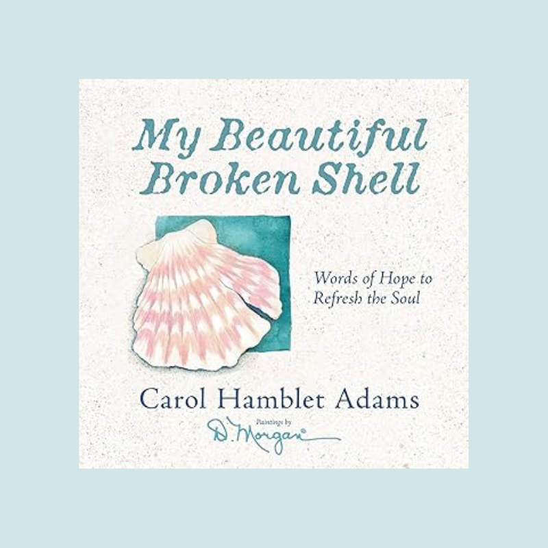 My Beautiful Broken Shell