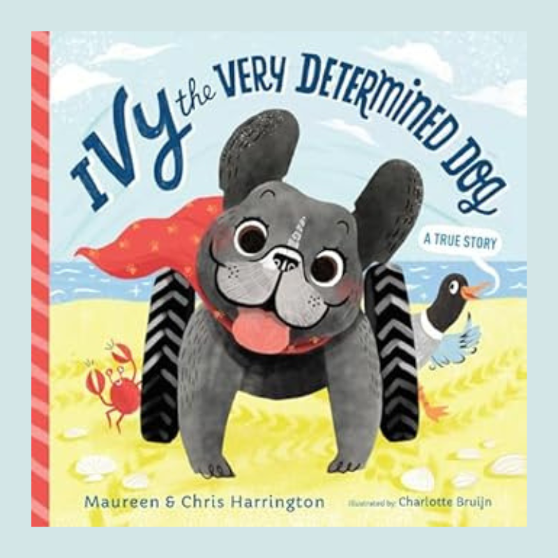 Ivy the Very Determined Dog: A True Story