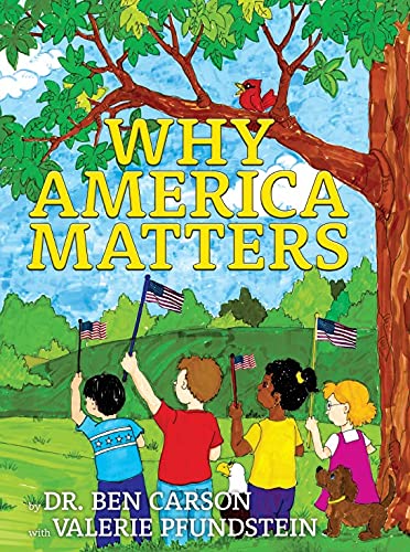 Why America Matters (Paperback)