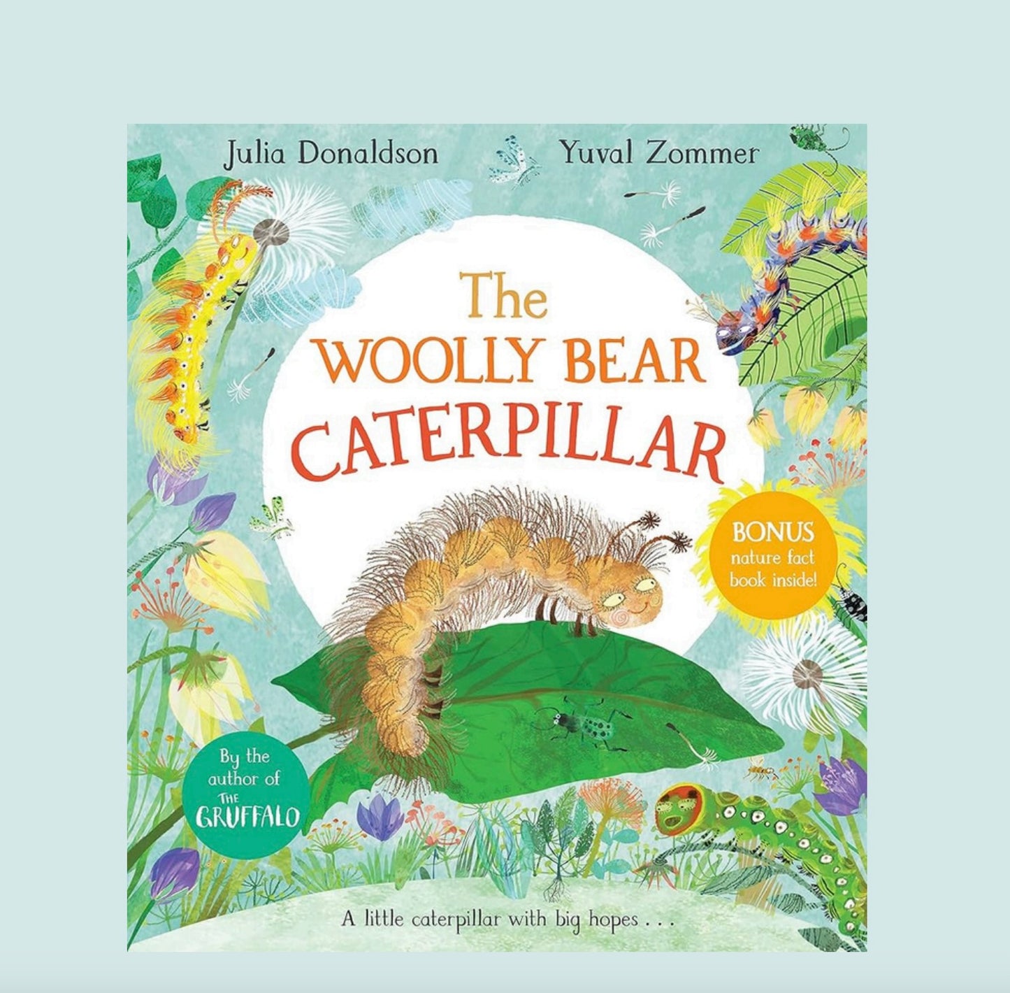 The Woolly Bear Caterpillar