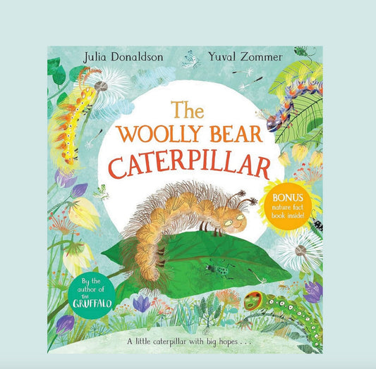 The Woolly Bear Caterpillar