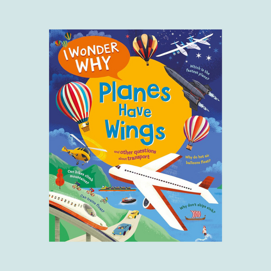 I Wonder Why Planes Have Wings