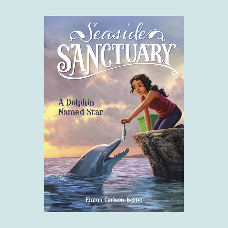 Seaside Sanctuary: A Dolphin Named Star
