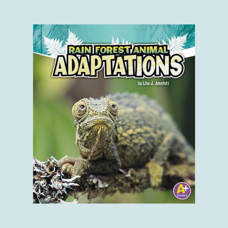 Rain Forest Animal Adaptations