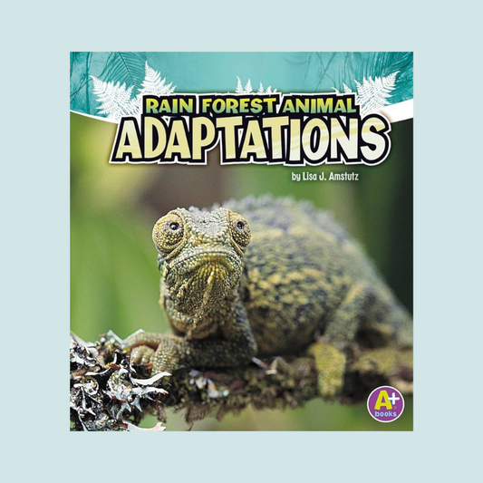 Rain Forest Animal Adaptations