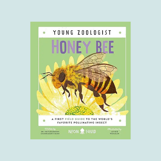 Young Zoologist Honey Bee
