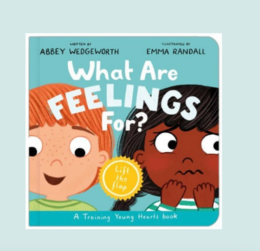 What Are Feelings For? Board Book: A Lift-the-Flap Board Book