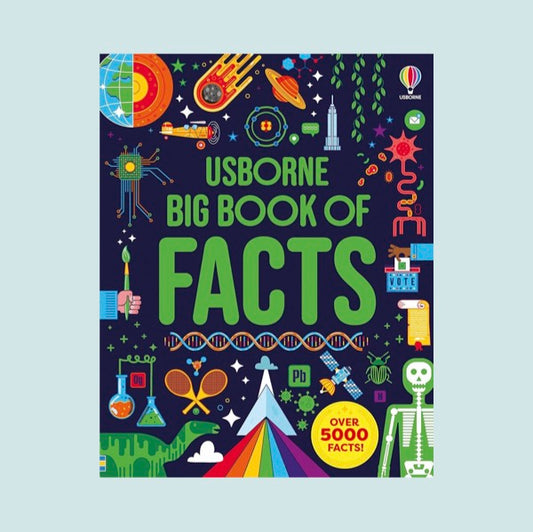 USBorne - Big Book of Facts